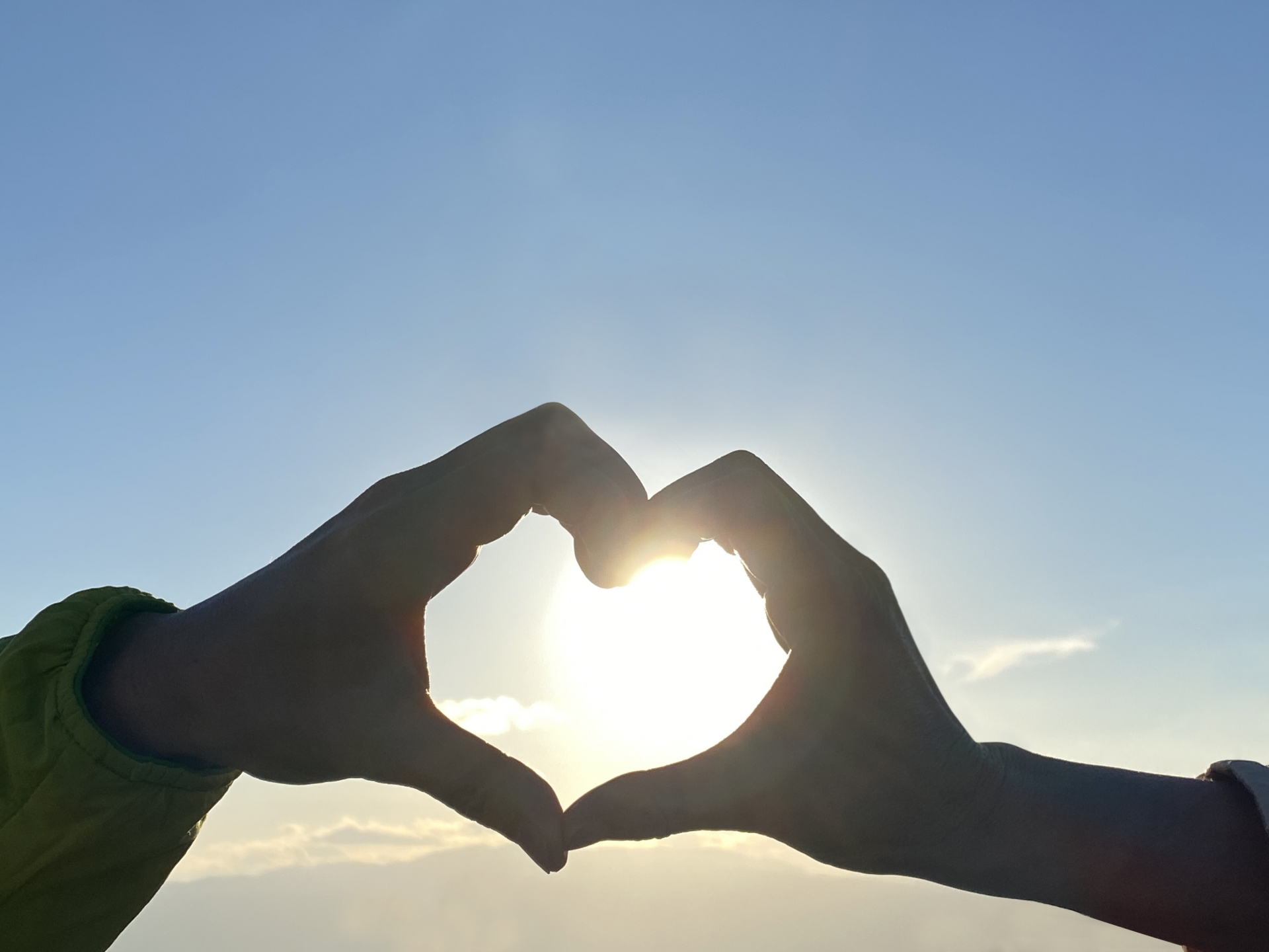 counseling, diary counseling, diary