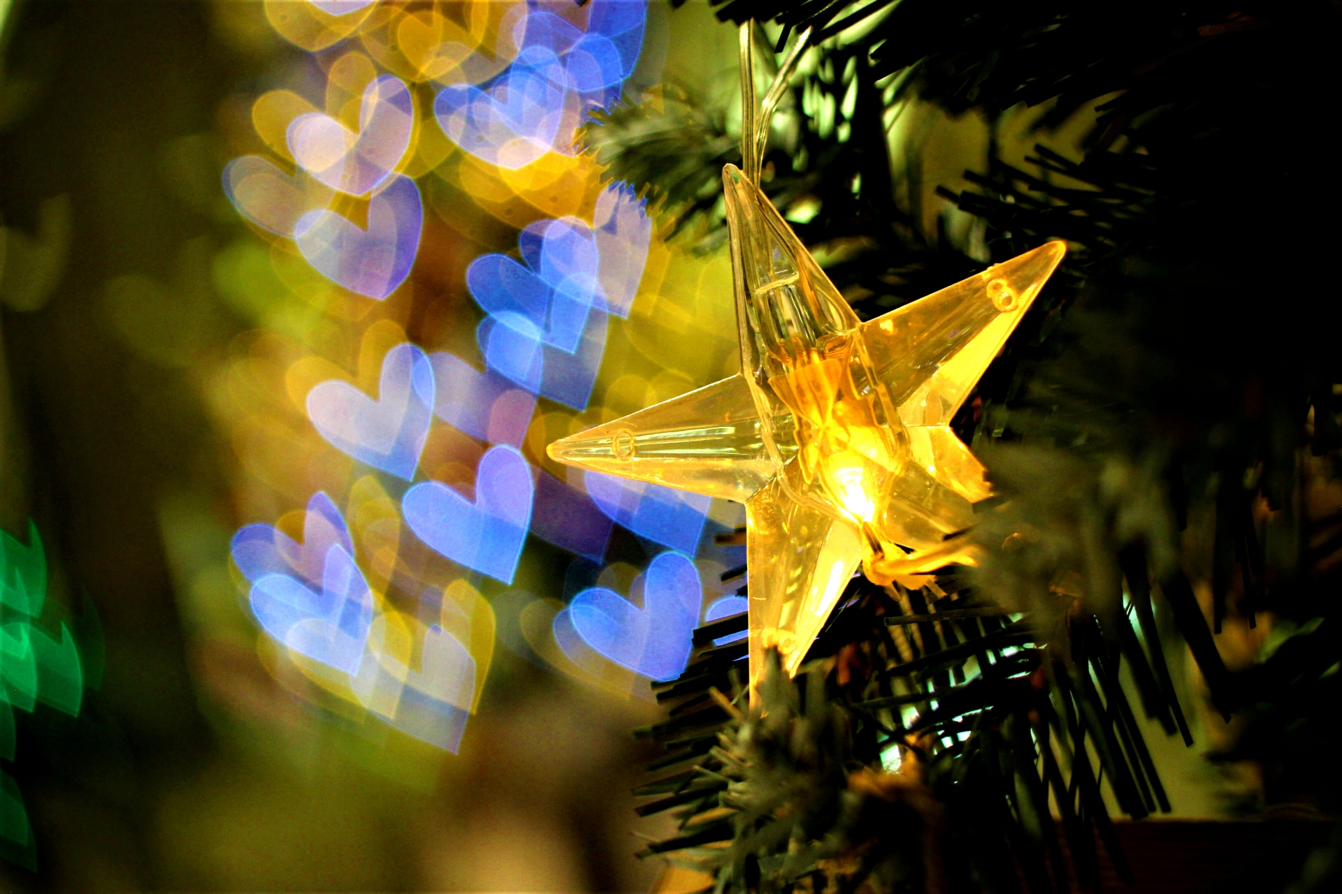 counseling, diary, topnews